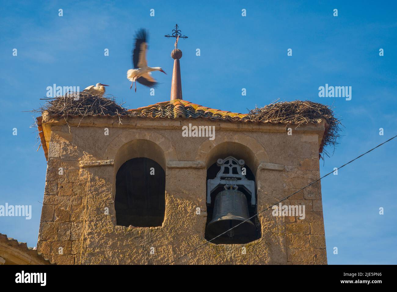Clocher de l'église et les cigognes nichent. Sotillo, province de Ségovie, Castilla Leon, Espagne. Banque D'Images