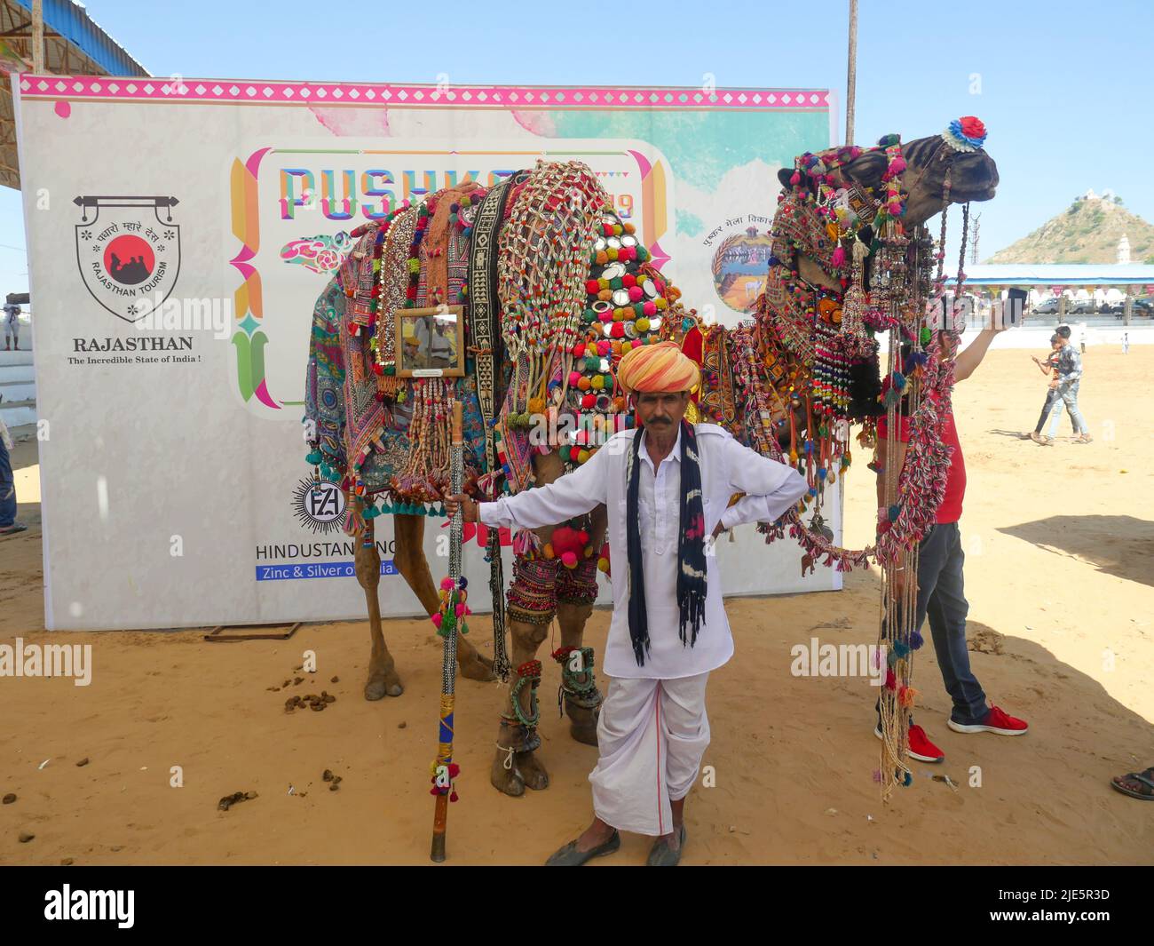 Pushkar, Rajasthan / Inde - 5 novembre 2019 : chameau décoré dans le plus grand festival indien de chameaux "Foire de chameaux de Pushkar". Banque D'Images