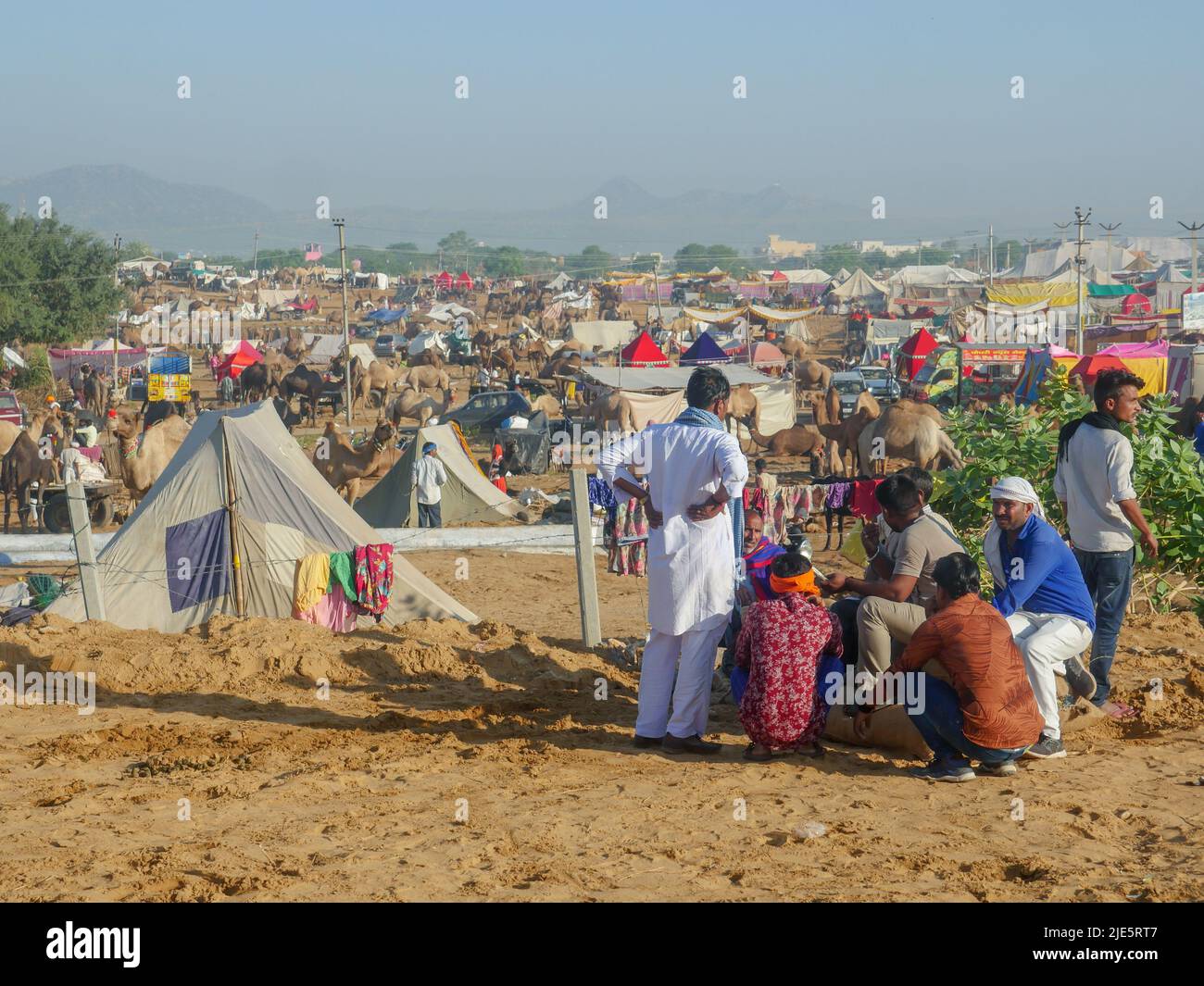 Pushkar, Rajasthan / Inde - 5 novembre 2019 : le troupeau de chameaux s'est rassemblé pour le commerce au plus grand festival indien du désert de chameaux "Foire de chameaux de Pushkar". Banque D'Images Pushkar, Rajasthan / Inde - 5 novembre 2019 : le troupeau de chameaux s'est rassemblé pour le commerce au plus grand festival indien du désert de chameaux "Foire de chameaux de Pushkar". Banque D'Images