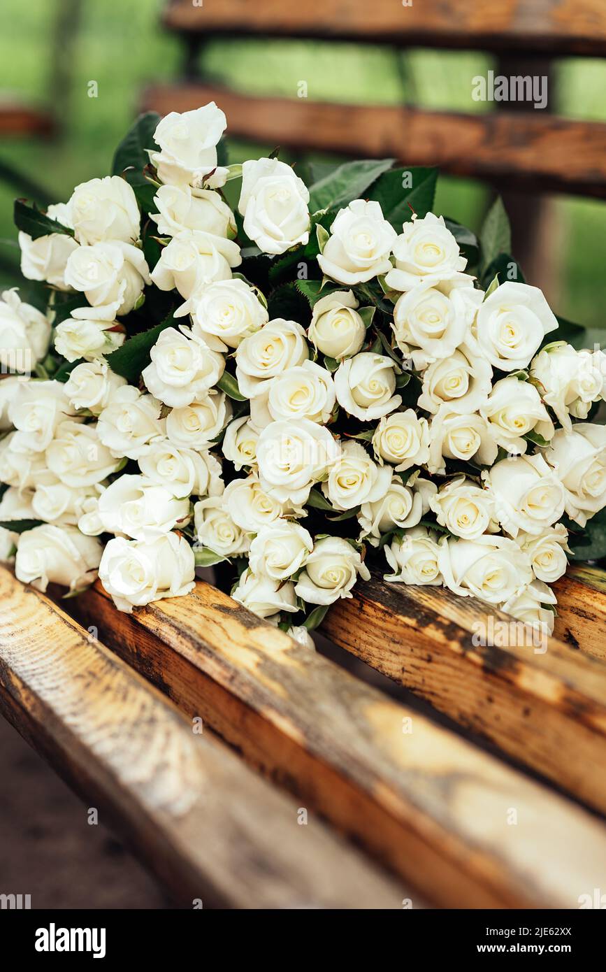 Close-up d'un énorme bouquet de roses blanches sur le banc en bois. contexte de la beaucoup de roses mariage, le jour de St Valentin. Copy space Banque D'Images