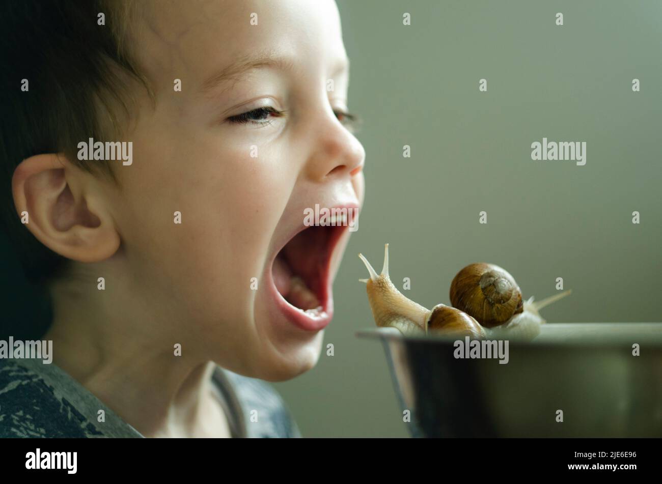 Le petit garçon ouvrit la bouche devant les escargots. Nourriture pour bébé. Véganisme. Élever des enfants et traiter des animaux Banque D'Images