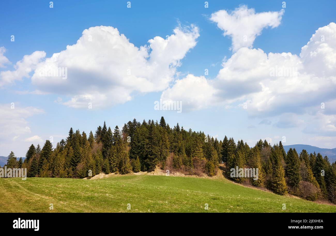 Paysage de montagne par une journée ensoleillée, montagnes Pienin, Pologne. Banque D'Images