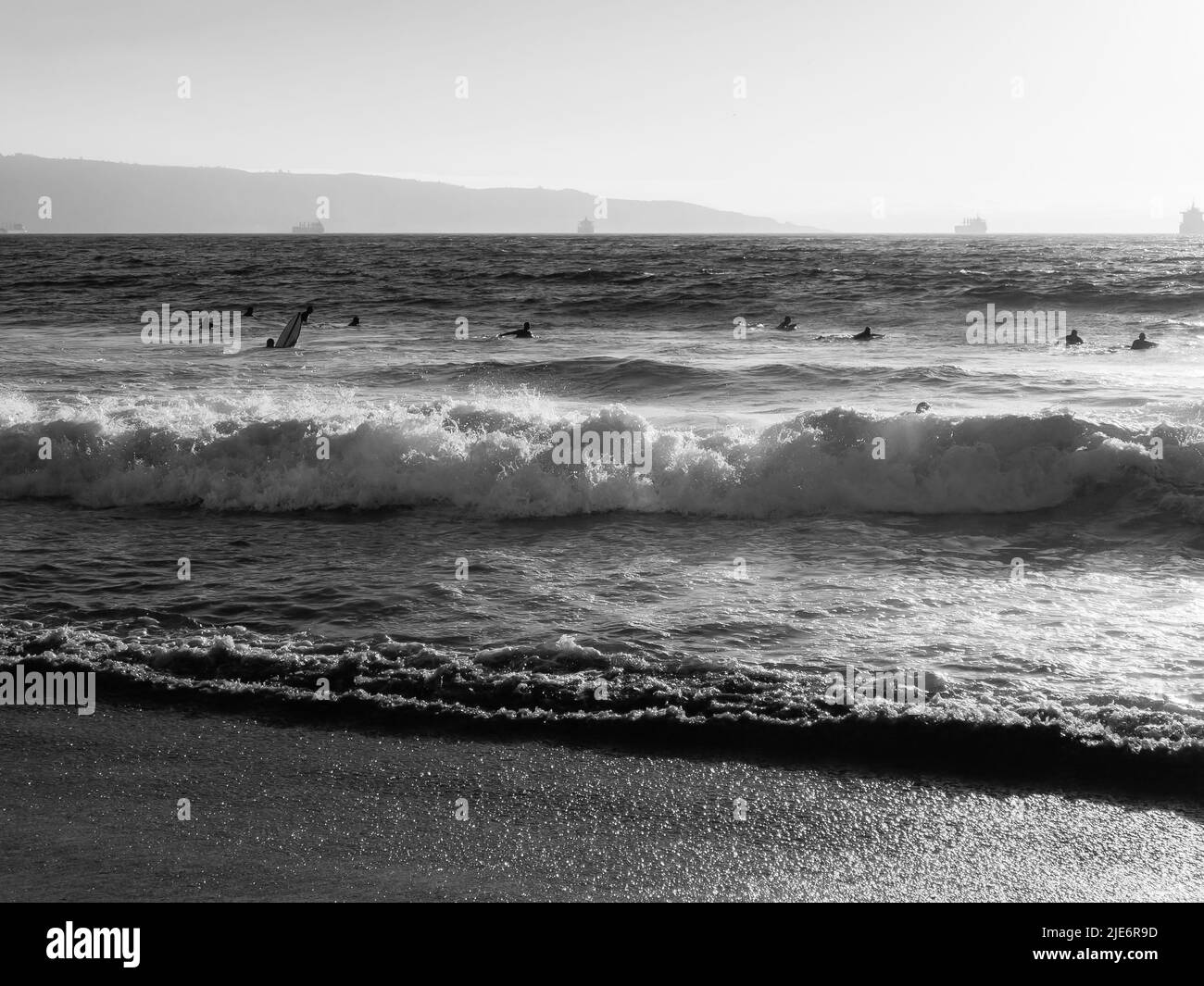 Groupe de surfeurs attendant un ensemble de vagues à la plage de Reñaca au coucher du soleil et des navires de cargaison par le port de Valparaiso en arrière-plan au Chili. Sports nautiques d'été Banque D'Images