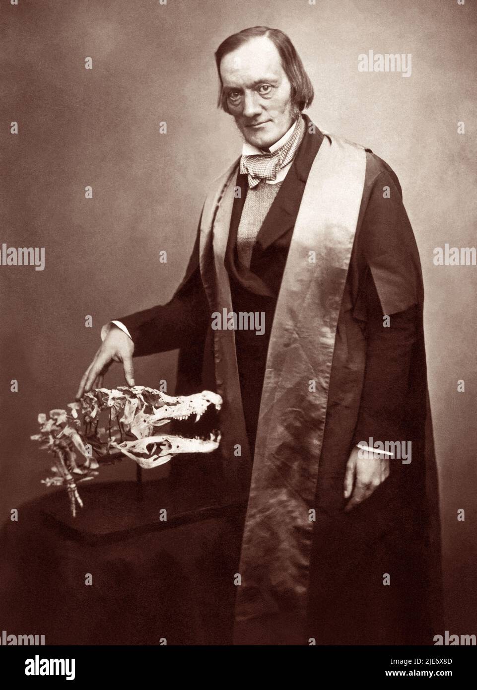 Sir Richard Owen KCB FRS (1804-1892) biologiste anglais, anatomiste comparatif, et paléontologue qui a inventé le terme dinosauria, dont nous tirons le mot dinosaure. Owen est un critique franc de la théorie de l'évolution par la sélection naturelle de Charles Darwin. Photo : 1856. Banque D'Images