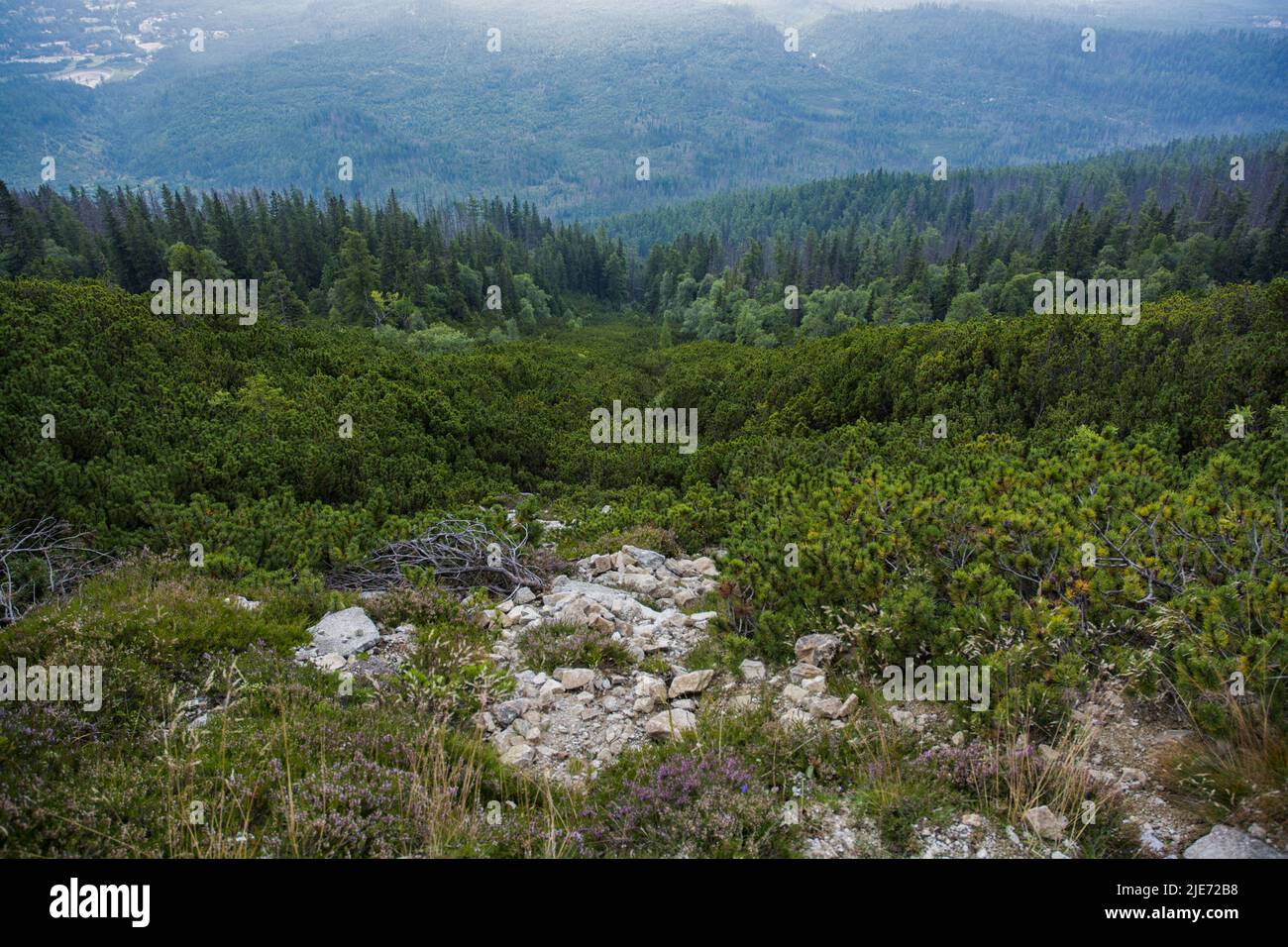 Vue de dessus de High Tatras de haut en bas Banque D'Images