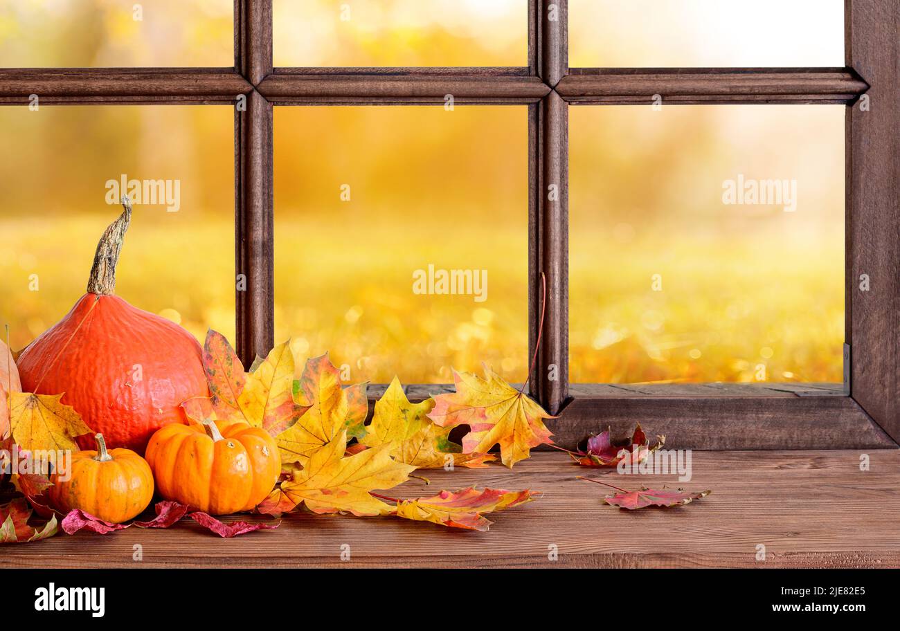vieille fenêtre en bois et vue sur l'autmn arrière-cour avec des feuilles jaunes tombant, l'automne encore la vie Banque D'Images