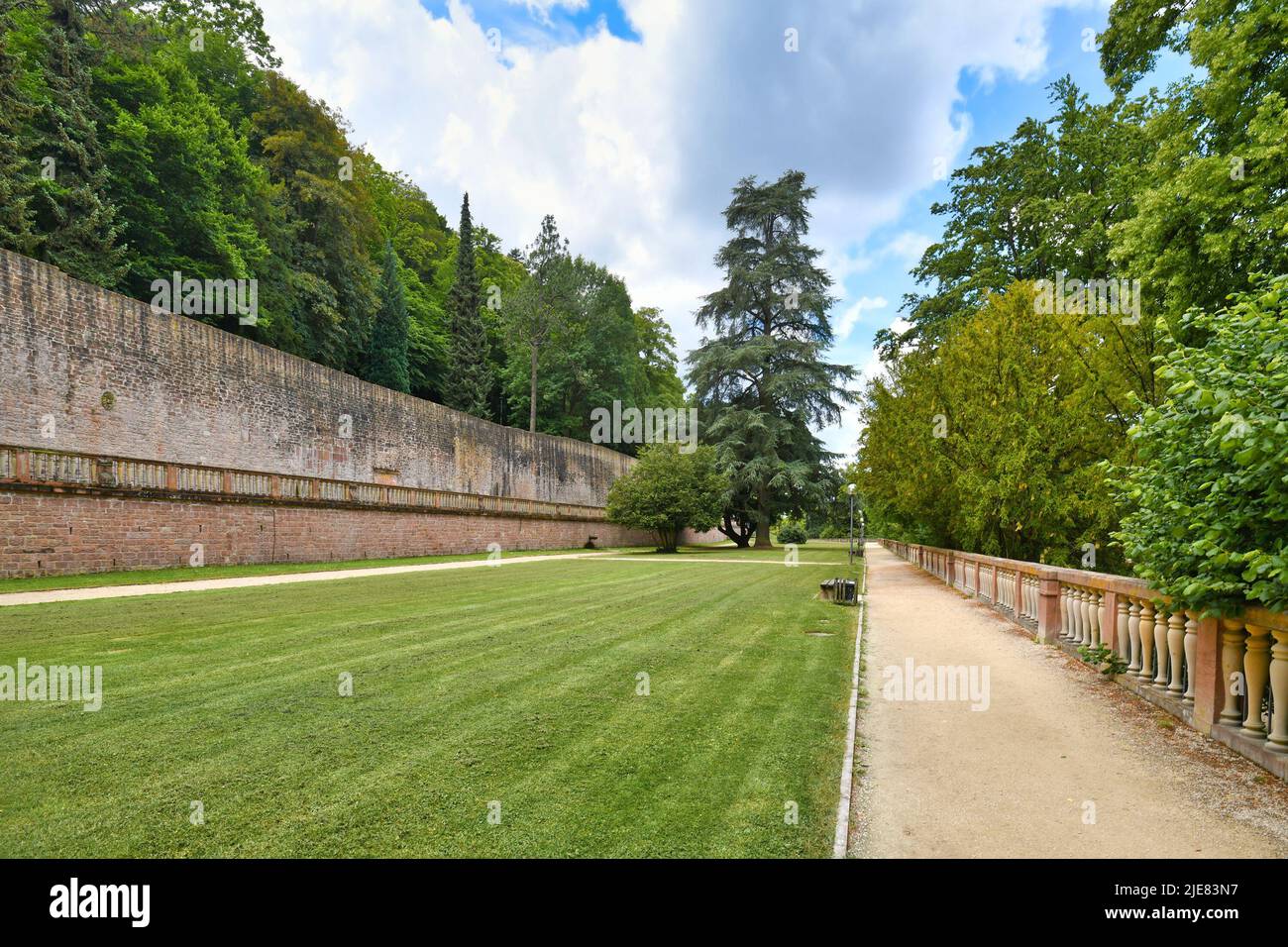 Heidelberg, Allemagne - juin 2022 : pelouse dans le jardin public du château de Heidelberg Banque D'Images