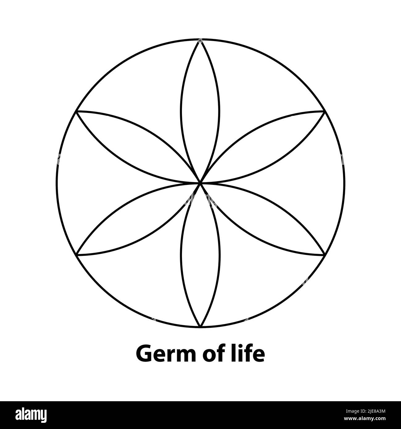 GÉOMÉTRIE SACRÉE GERME DE VIE .VECTEUR Illustration de Vecteur