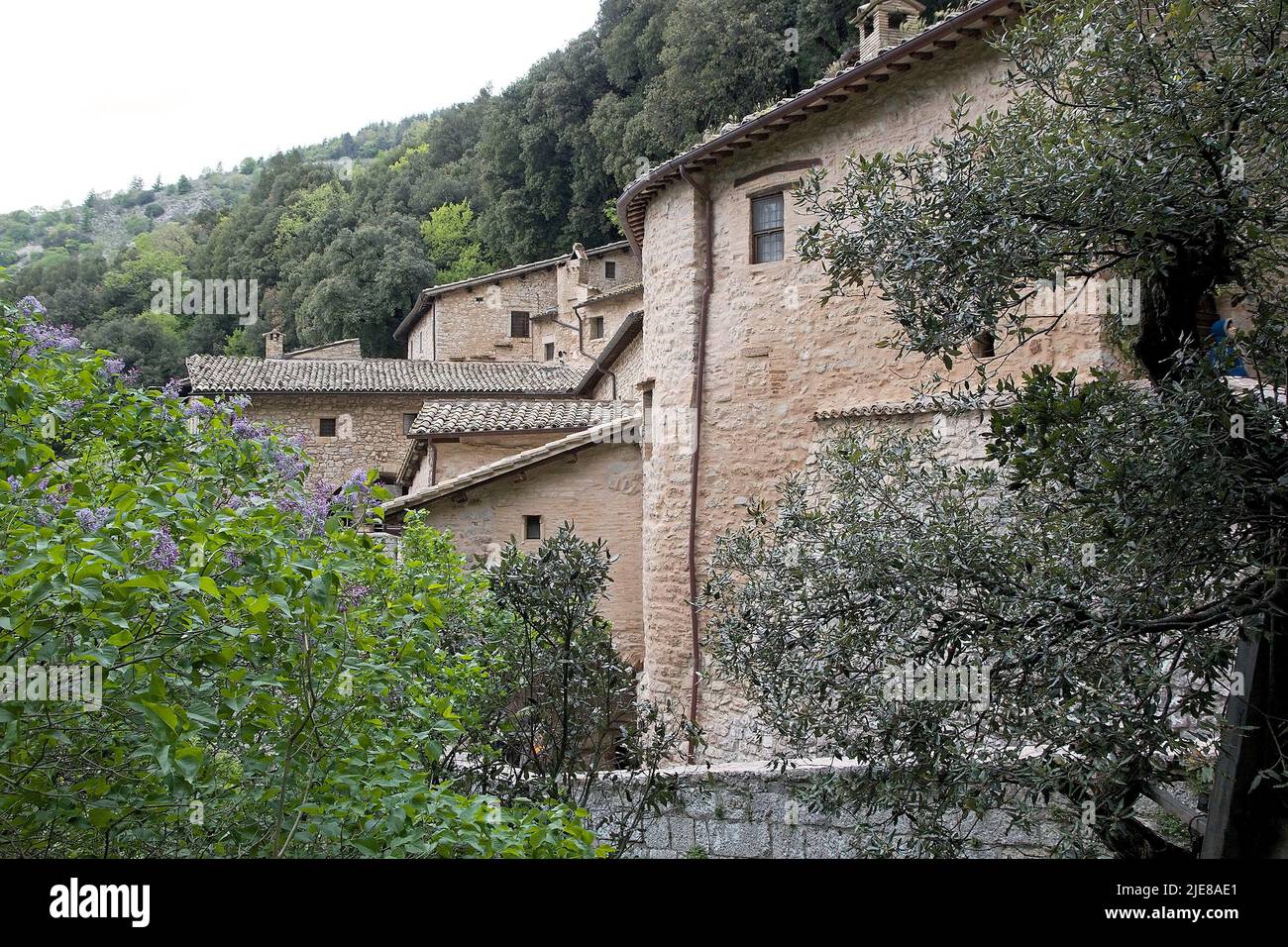 Eremo delle Carceri, Mont Subasio, Ombrie, Italie. L'Eremo delle Carceri est un petit ermitage dans une gorge forestière escarpée au Mont Subasio, quatre kil Banque D'Images