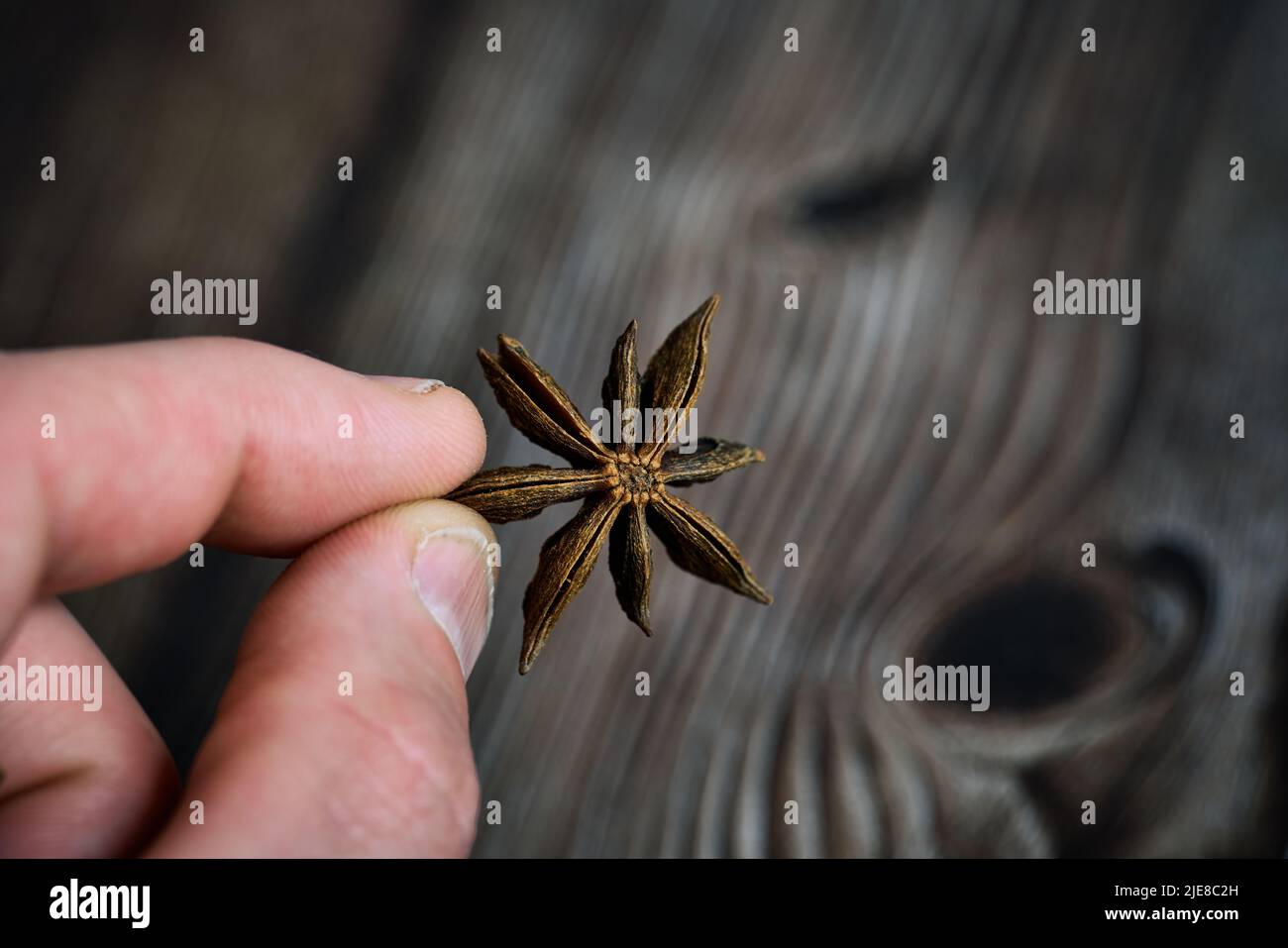 Étoile anis de la plante Pimpinella anisum. Photo de haute qualité Banque D'Images