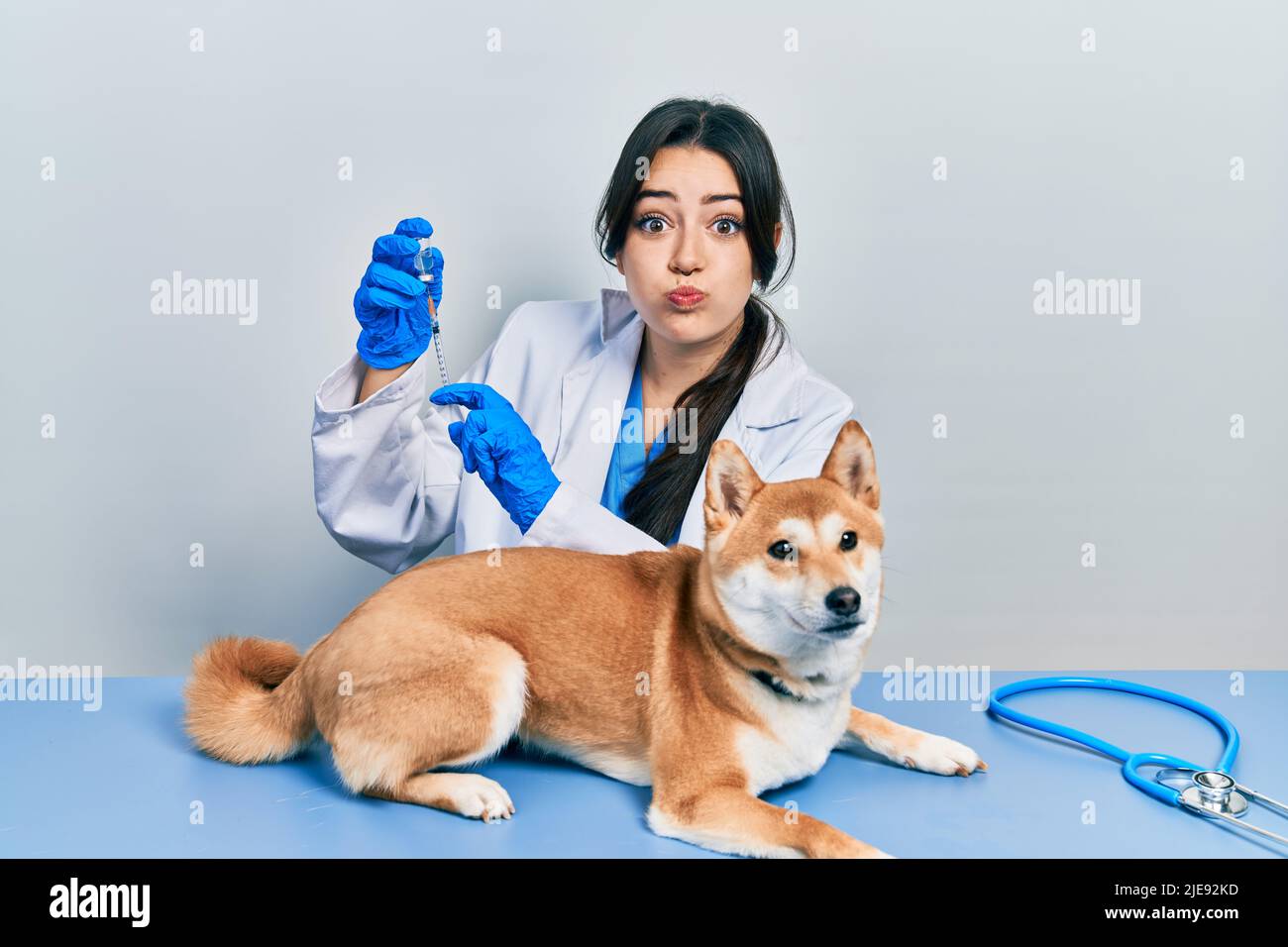 Belle femme vétérinaire hispanique mettant le vaccin à chien chiot puffant les joues avec le visage drôle. Bouche gonflée avec de l'air, attrapant l'air. Banque D'Images