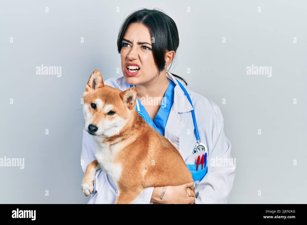 Belle femme vétérinaire hispanique tenant chien en colère et fou hurlant frustré et furieux, criant avec colère. Rage et agressif concept. Banque D'Images