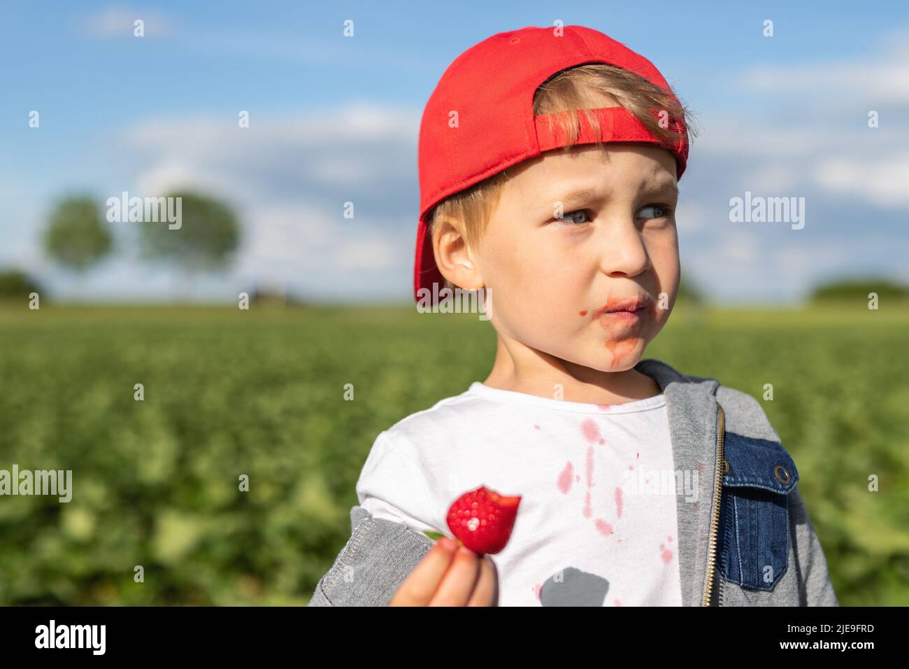 Portrait de petit mignon adorable caucasien heureux sourire garçon porter casquette rouge apprécier manger frais mûr doux cueillette des fraises récolte à la ferme sur Banque D'Images