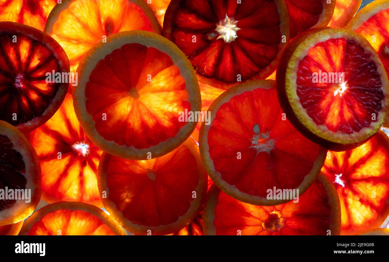 Fond de fruit orange rouge. Tranches d'orange juteuse. Nourriture. Concept d'été. Gros plan sur la lumière. Translucide. Banque D'Images Fond de fruit orange rouge. Tranches d'orange juteuse. Nourriture. Concept d'été. Gros plan sur la lumière. Translucide. Banque D'Images