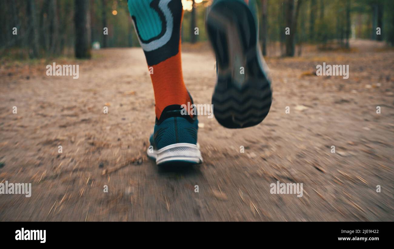 Les pieds mâles en chaussettes longues colorées et les baskets bleues courront le long d'un chemin forestier. Le coureur s'entraîne à l'extérieur. Jogging dans la forêt de pins Banque D'Images