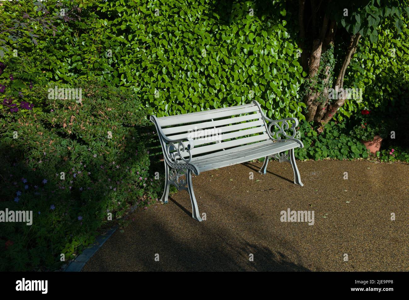 Banc de jardin bleu avec haie derrière et chemin de résine Banque D'Images