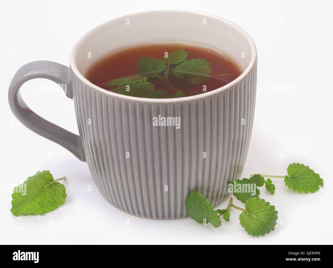 Feuilles de baume au citron avec tisane sur fond blanc Banque D'Images