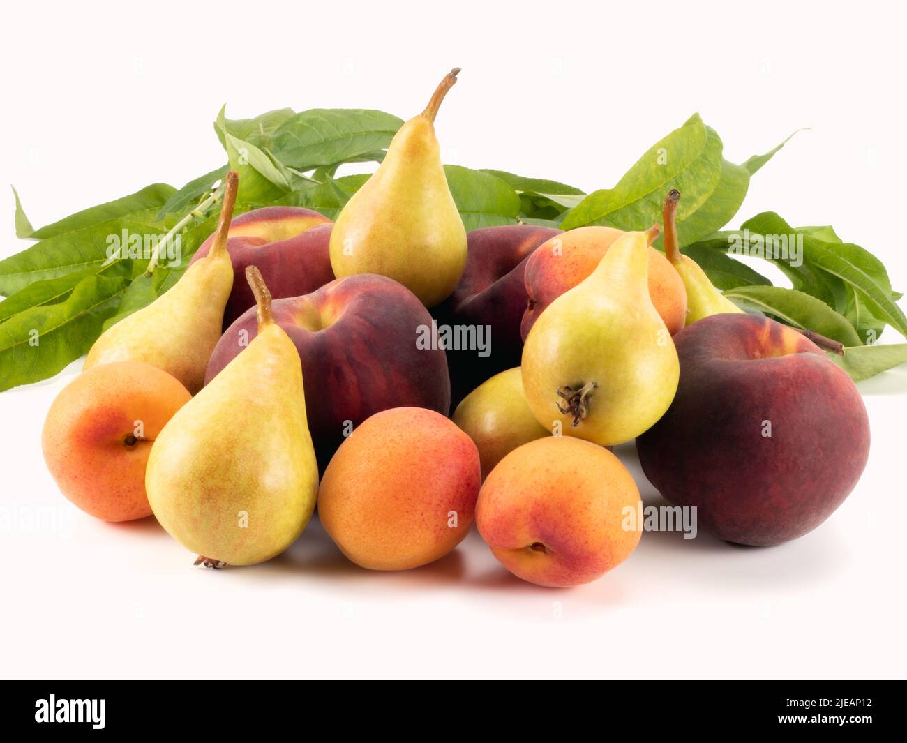 Fruits frais de saison. Abricot, pêche et poires isolées sur fond clair. Vue rapprochée. Banque D'Images
