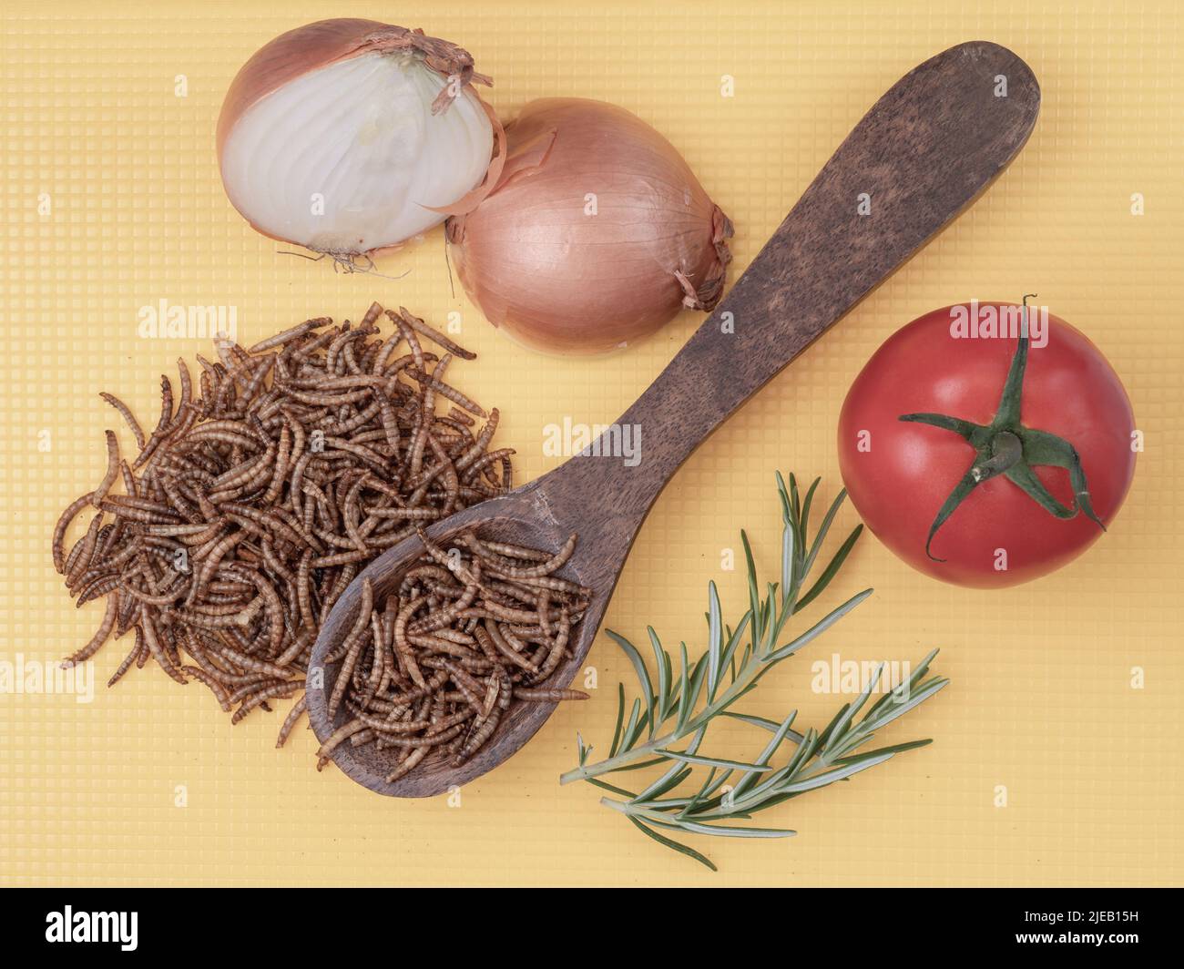 Cuisson avec des vers de viande, des protéines d'insecte, avec de l'oignon, de la tomate et du romarin. Banque D'Images