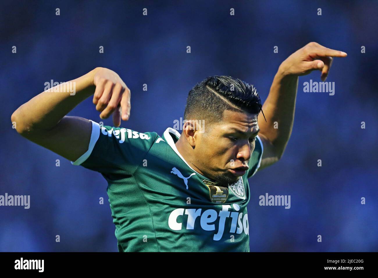 26 juin 2022, Florianopolis, Santa Catarina, Brésil: Roni do Palmeiras célèbre son but lors du match entre avai et Palmeiras, pour la ronde 14th du Campeonato Brasileiro Serie A 2022, à l'Estadio da Ressacada ce dimanche 26. (Credit image: © Heuler Andrey/Sport Press photo via ZUMA Press) Banque D'Images