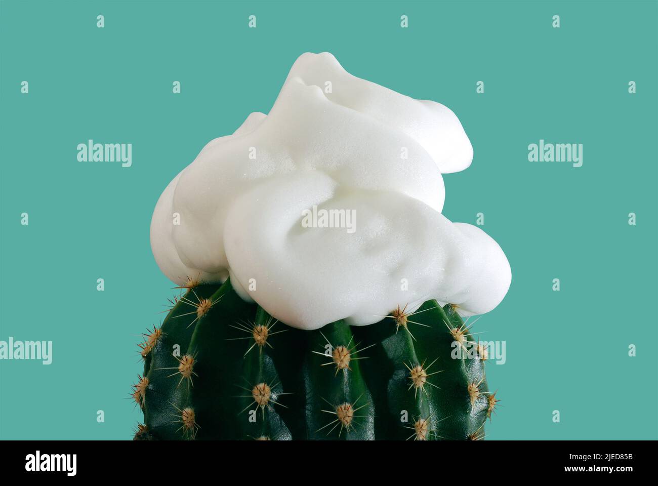 Concept abstrait de rasage avec mousse de rasage sur un cactus, sur fond vert Banque D'Images