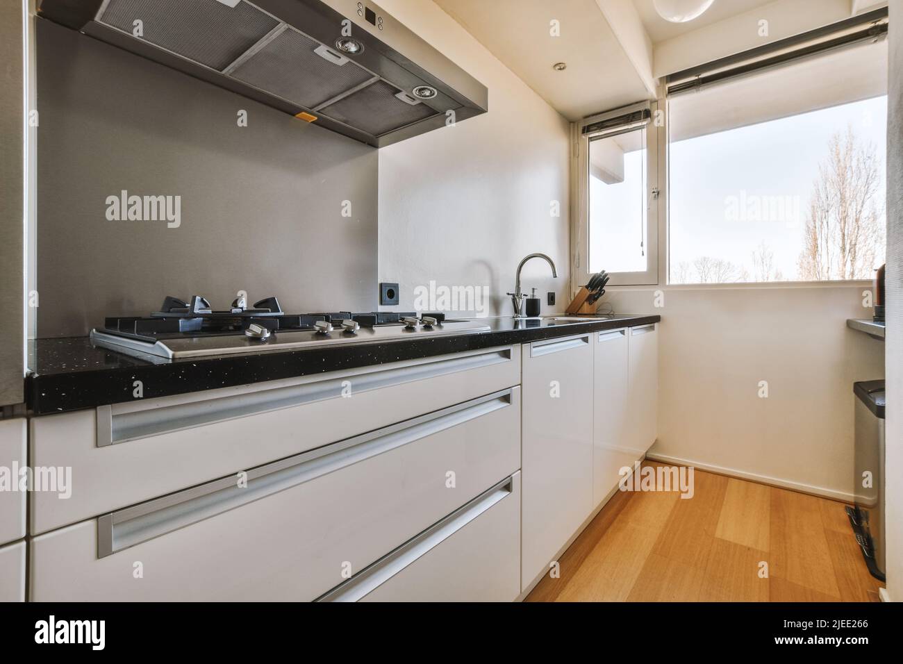 L'intérieur bien organisé d'une petite cuisine avec évier, meubles de couleur claire avec cuisinière et hotte aspirante dans un appartement de ville Banque D'Images