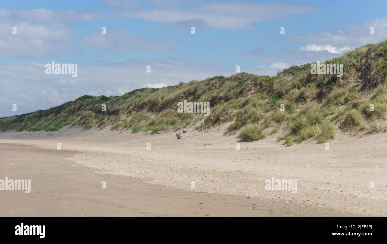 Dune à la plage de la mer du Nord avec de l'herbe verte, Bray-Dunes, France Banque D'Images