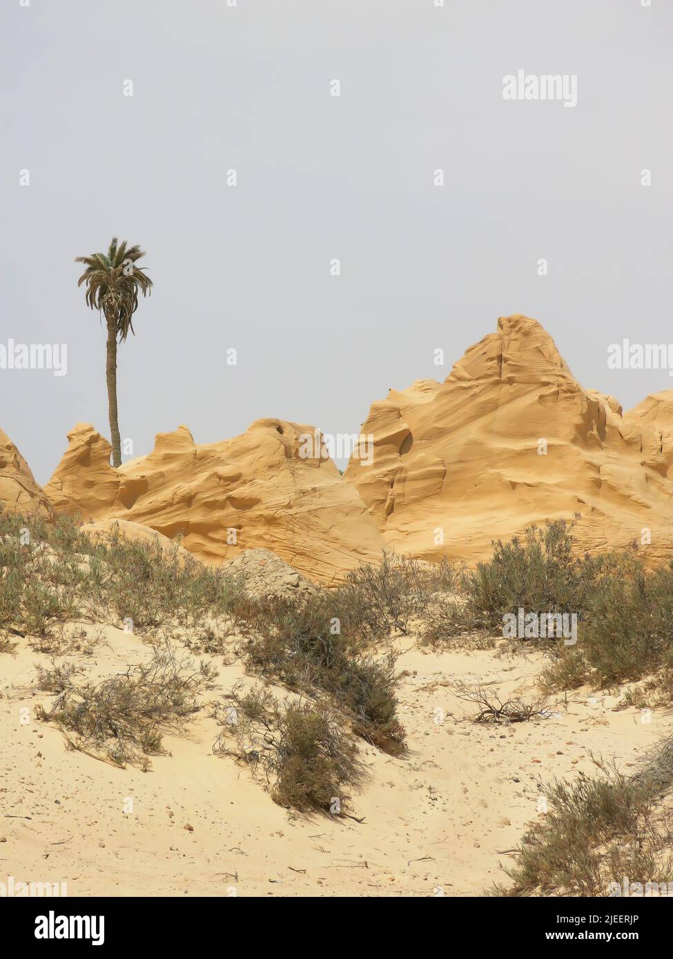 Dunes de sable pétrifié Banque D'Images