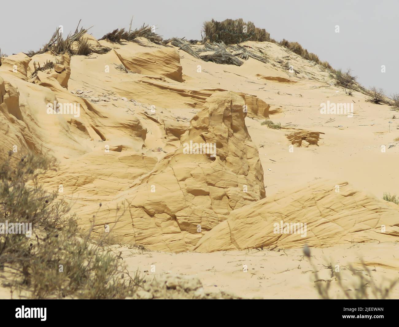 Dunes de sable pétrifié Banque D'Images