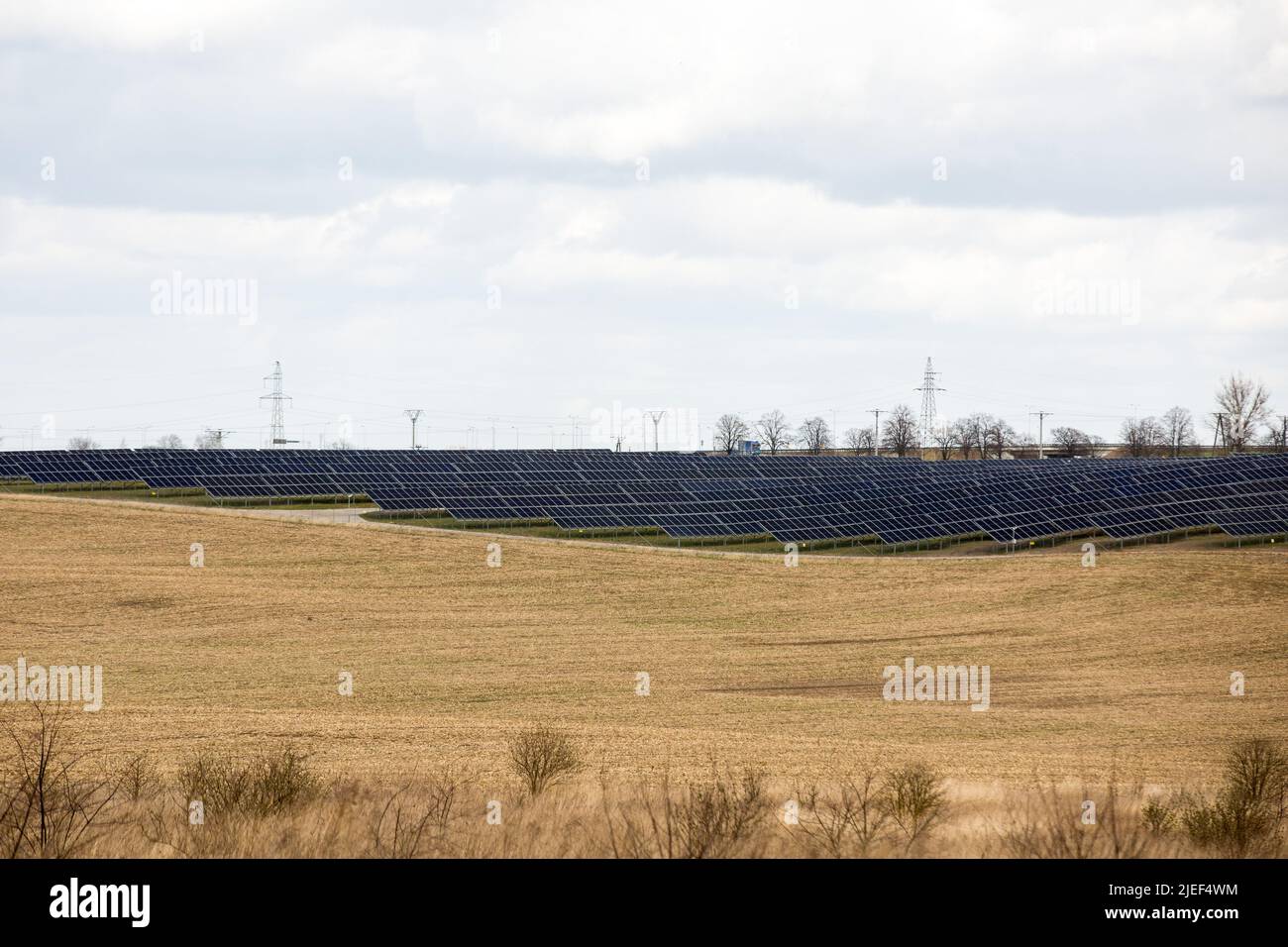 Centrale photovoltaïque contenant des panneaux solaires vus près de Swiebodzin. Les installations photovoltaïques en Pologne ont battu des records de popularité ces dernières années, tant chez les entrepreneurs que chez les particuliers. Actuellement, la capacité photovoltaïque installée en Pologne est de plus de 9 GW. Banque D'Images