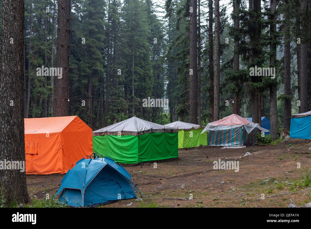 Khyber Pakhtunkhwa tente camping destination de vacances dans la forêt Banque D'Images