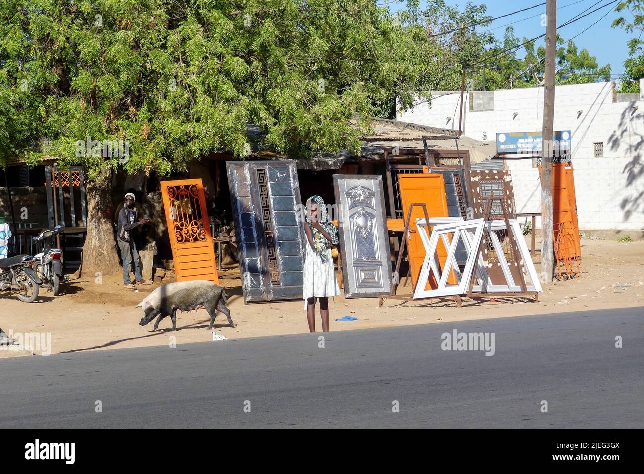 Jeune fille africaine noire debout devant un magasin de menuisier en métal dans la ville de Touba, Sénégal, Afrique de l'Ouest pendant qu'une vache (porcins féminins) passe. Banque D'Images