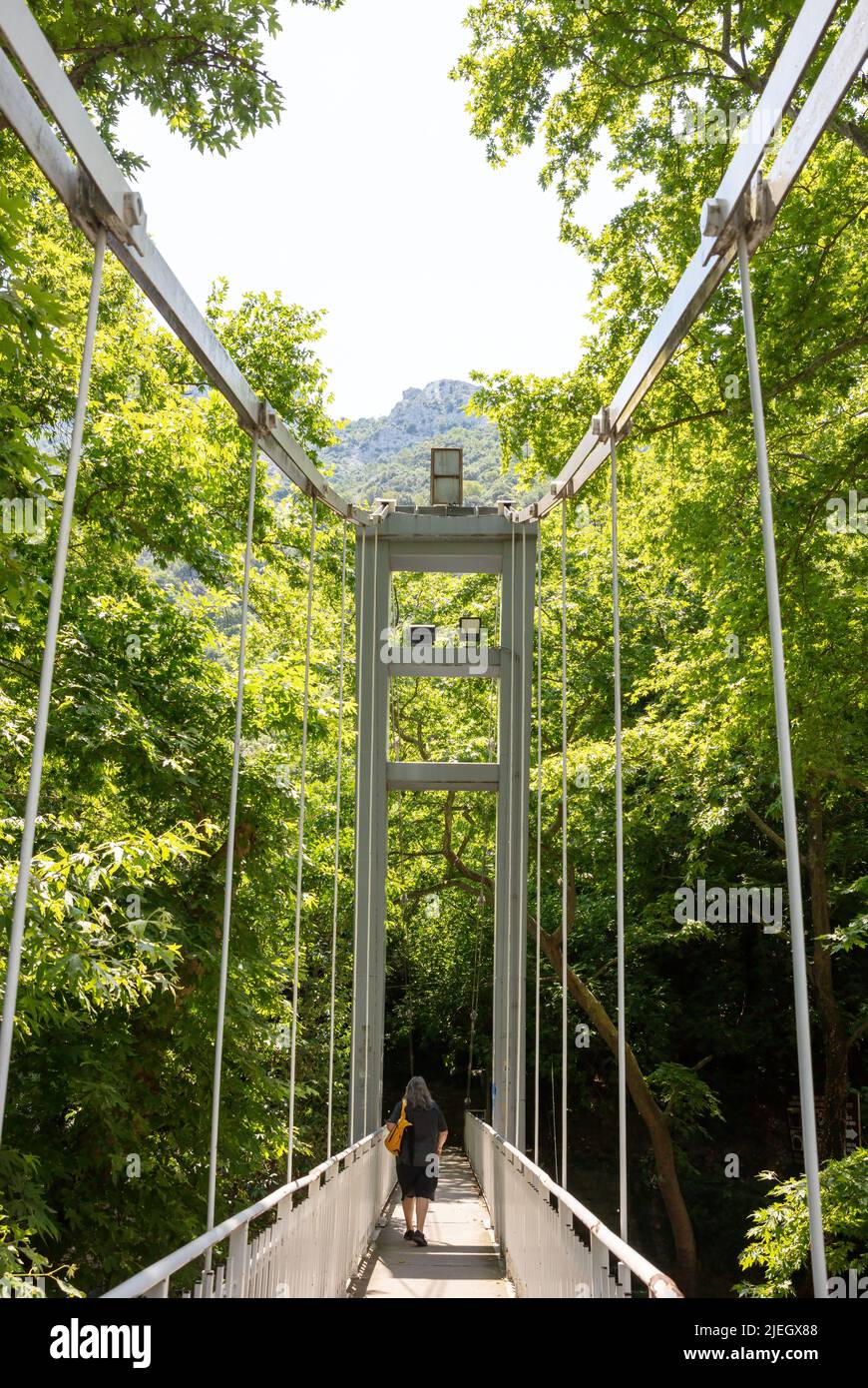 Homme marchant sur un pont suspendu étroit au-dessus de la rivière Pineios. Grèce, Vale de Tampi, Thessalie. Arrière-plan de grands arbres verts Banque D'Images