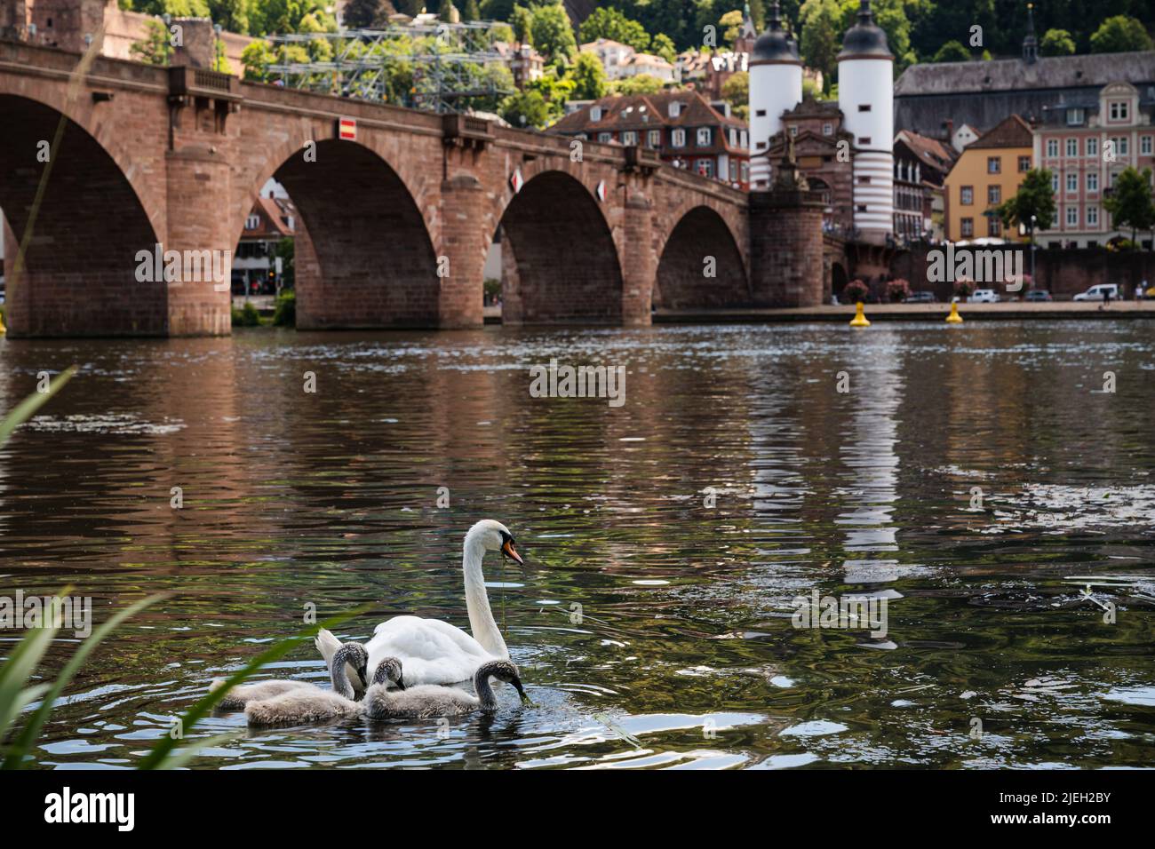 Pont Heidelberg Banque D'Images