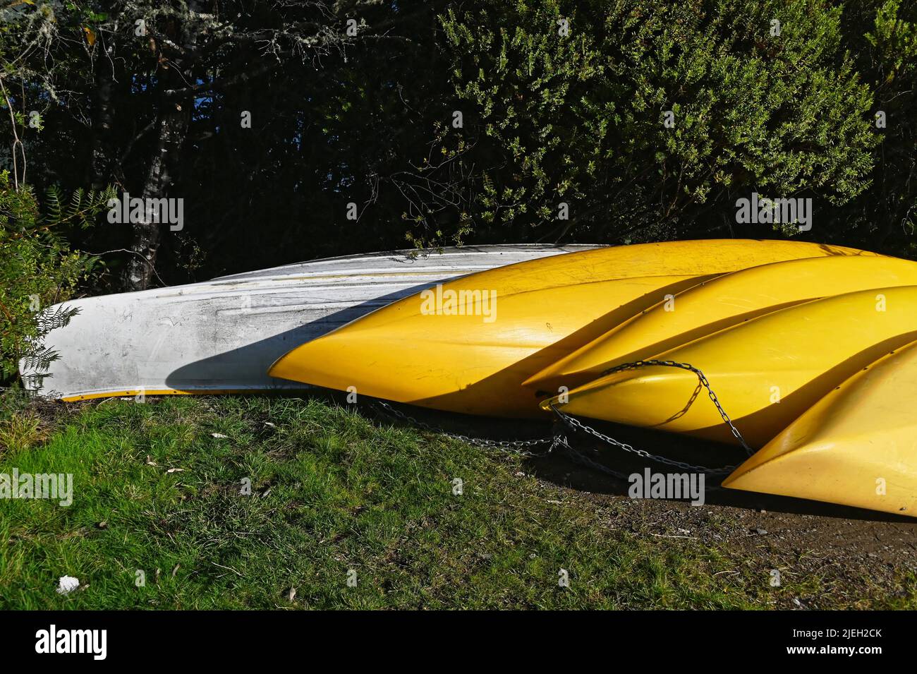 Les kayaks jaunes et blancs sont à l'envers pour qu'ils ne se remplissent pas d'eau et de débris. Ils sont reliés entre eux pour que le ne soit pas volé ou déplacé. Banque D'Images