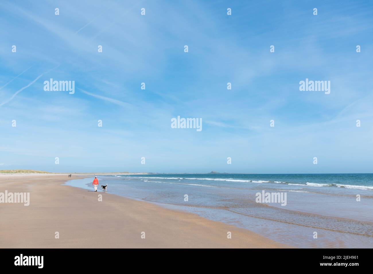 Femme marchant son chien Border Collie le long de la plage déserte de Ross Sands, Northumberland, Angleterre Banque D'Images