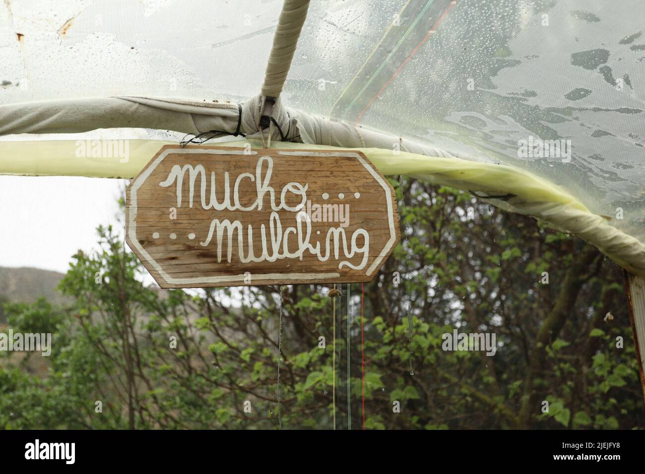 Panneau en bois Mucho Muching avec texte blanc sur un terrain de permaculture avec structure de serre et arbres Banque D'Images