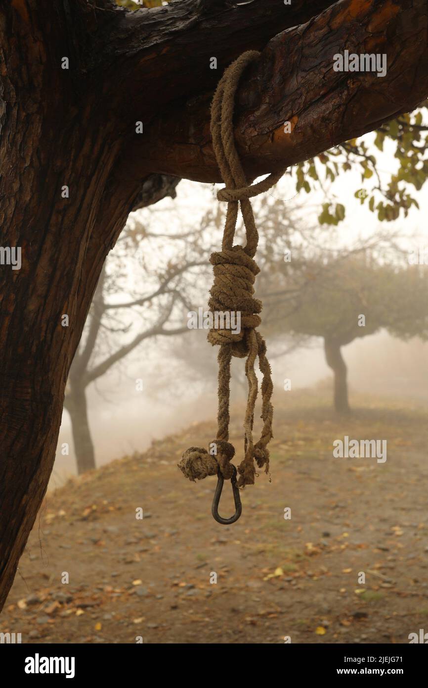 Corde à deux noeuds accrochant le tronc d'un arbre au milieu de l'Espagne Alpujarra Banque D'Images