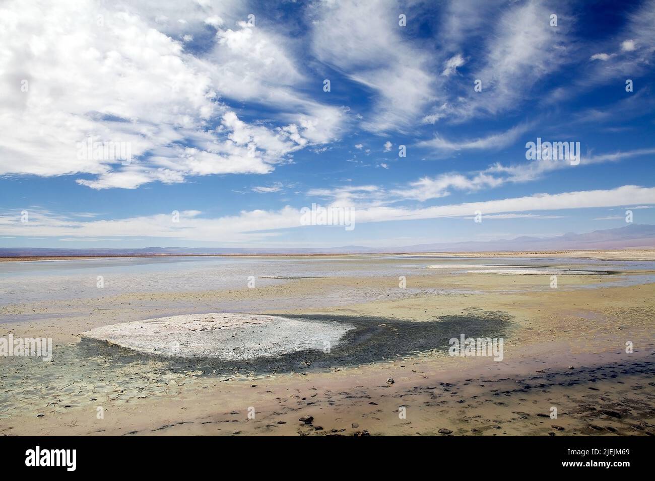 Lagune de Chasxa dans le Salar l'Atacama, Chili. Salar de Atacama est le plus grand plat de sel au Chili et le troisième plus grand au monde. Il est situé Banque D'Images