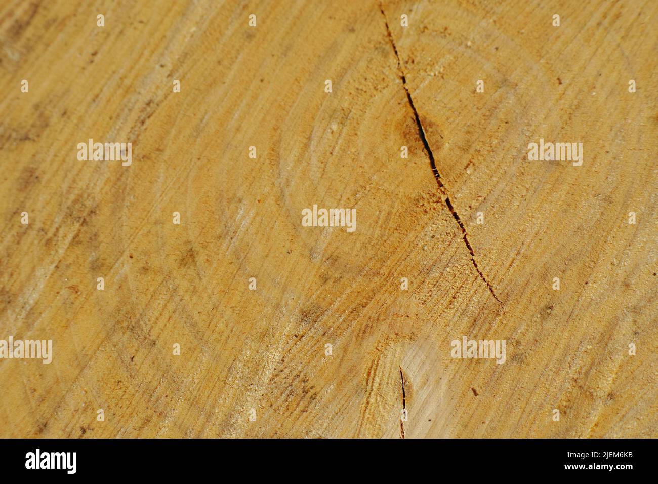 Texture du grain de bois de la souche de vieux arbre avec des fissures. Détail des textures rugueuses sur le tronc d'arbre utilisé. Matériau en bois avec marques de sculpture. Répétitions circulaires Banque D'Images