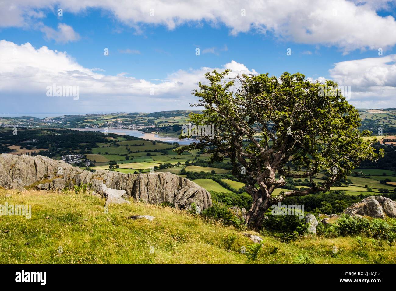 Vue sur la vallée de la rivière Conwy depuis la colline rocheuse de Cerrig-y-ddinas dans le nord de Snowdonia. Conwy, comté de Conwy, nord du pays de Galles, Royaume-Uni, Grande-Bretagne Banque D'Images