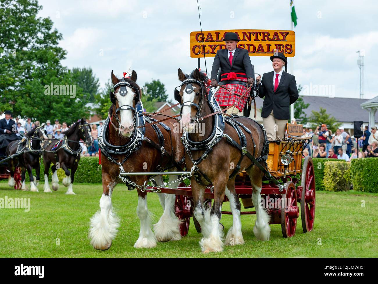 Harrogate, North Yorkshire, Royaume-Uni. 14 juillet 2021. Les chevaux de Galcantray Clydesdale d'Écosse en classe de chevaux lourds au Great Yorkshire Show 20 Banque D'Images