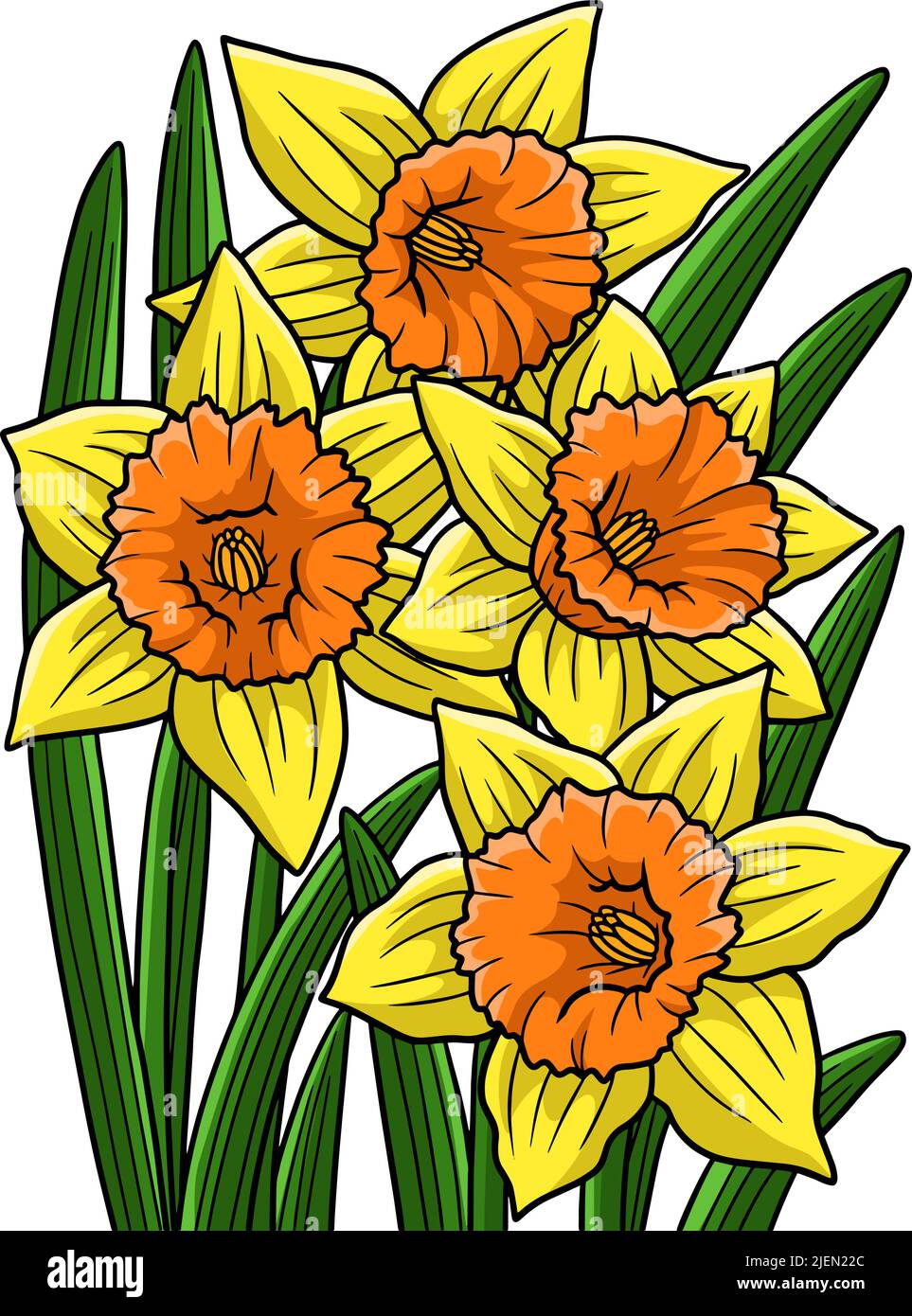 Dessin animé Daffodil Flower Clipart coloré Illustration de Vecteur