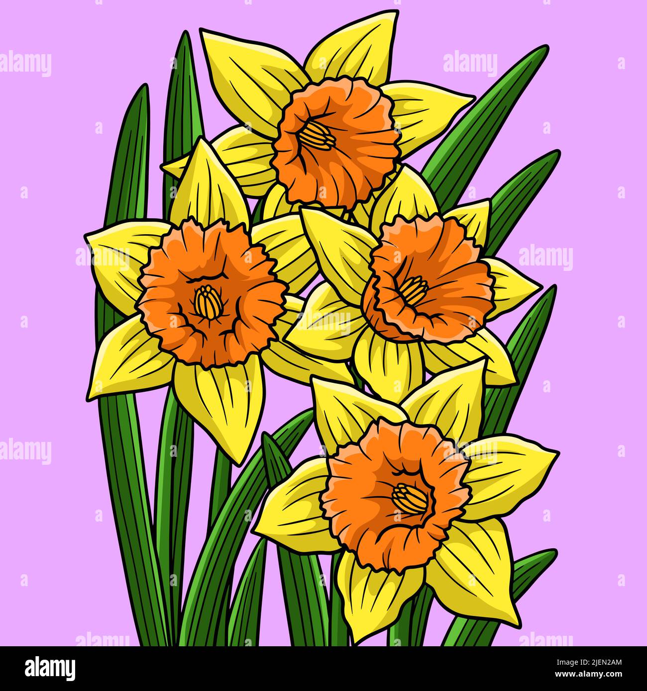 Illustration du dessin animé de couleur Daffodil Flower Illustration de Vecteur