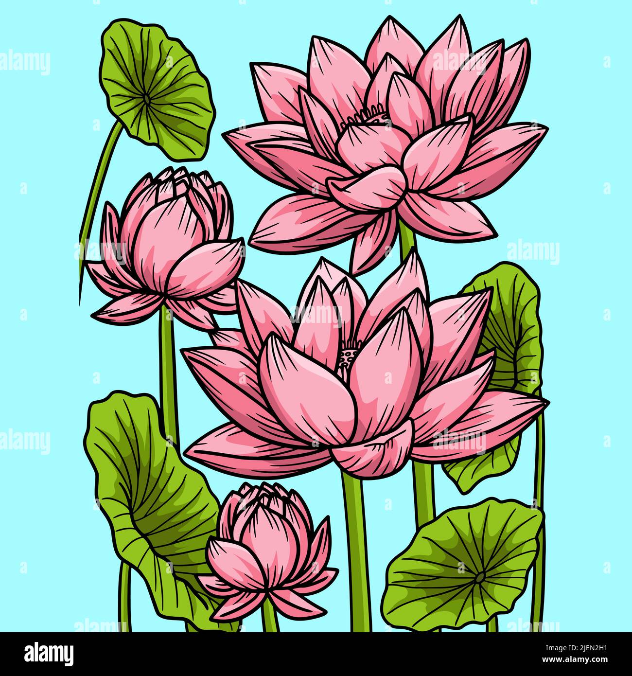 Fleur de lotus dessin Banque de photographies et d'images à haute  résolution - Alamy