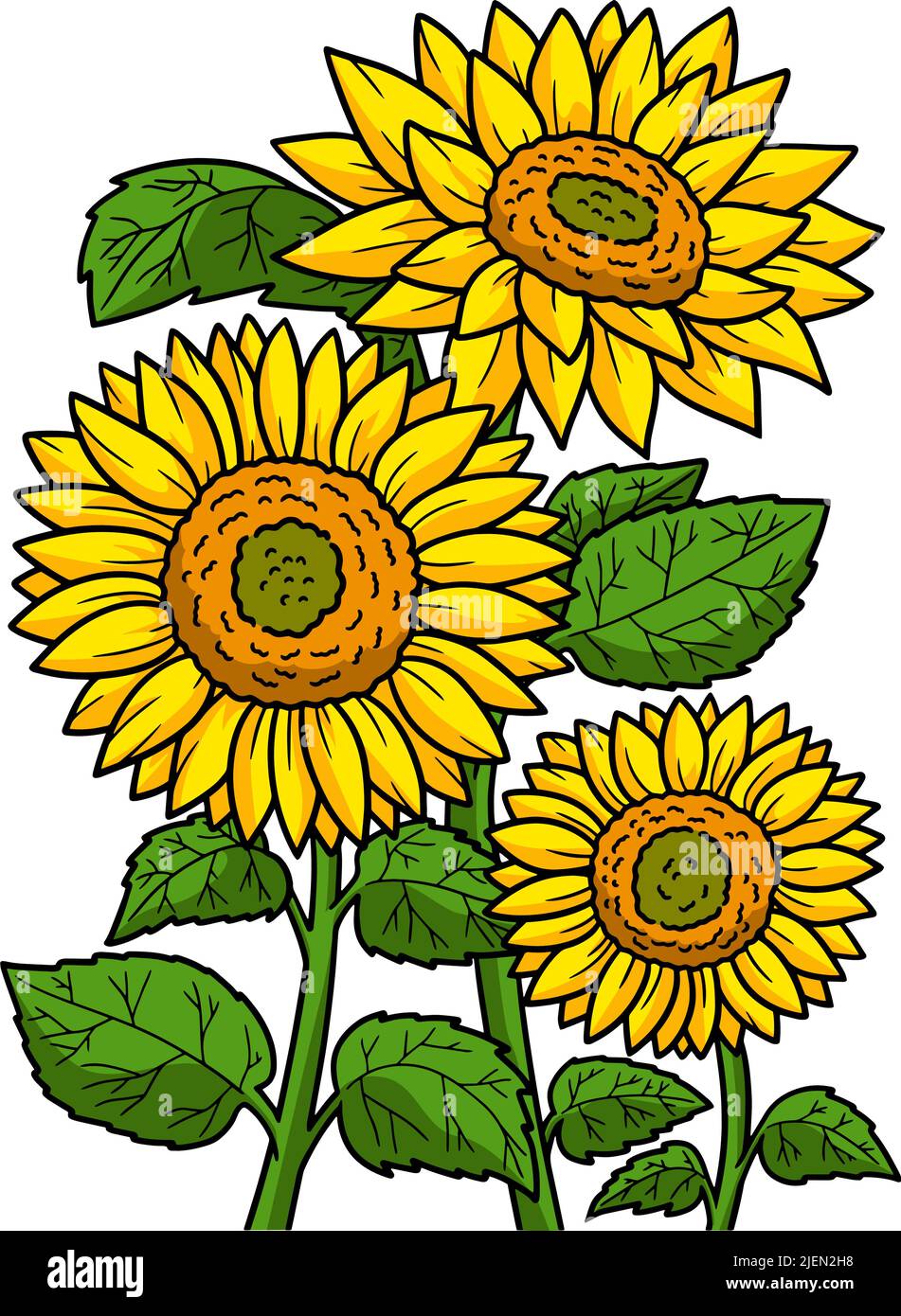 Tournesol Flower Cartoon coloré Clipart Illustration de Vecteur