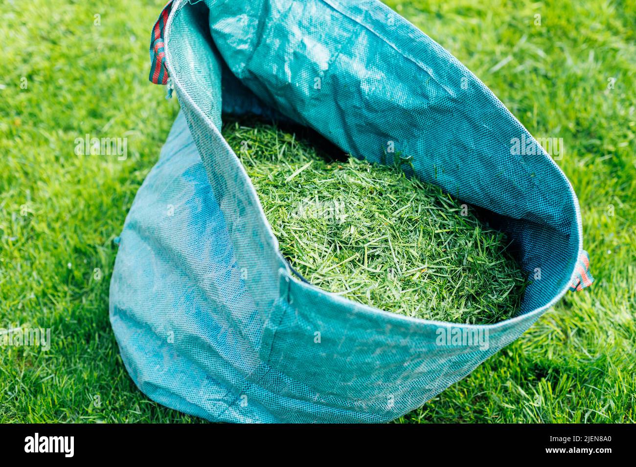 Herbe fraîche et naturelle coupée dans un sac bleu avec râteau sur une pelouse verte. Préparation du futur compost, engrais écologique. Recyclage Banque D'Images