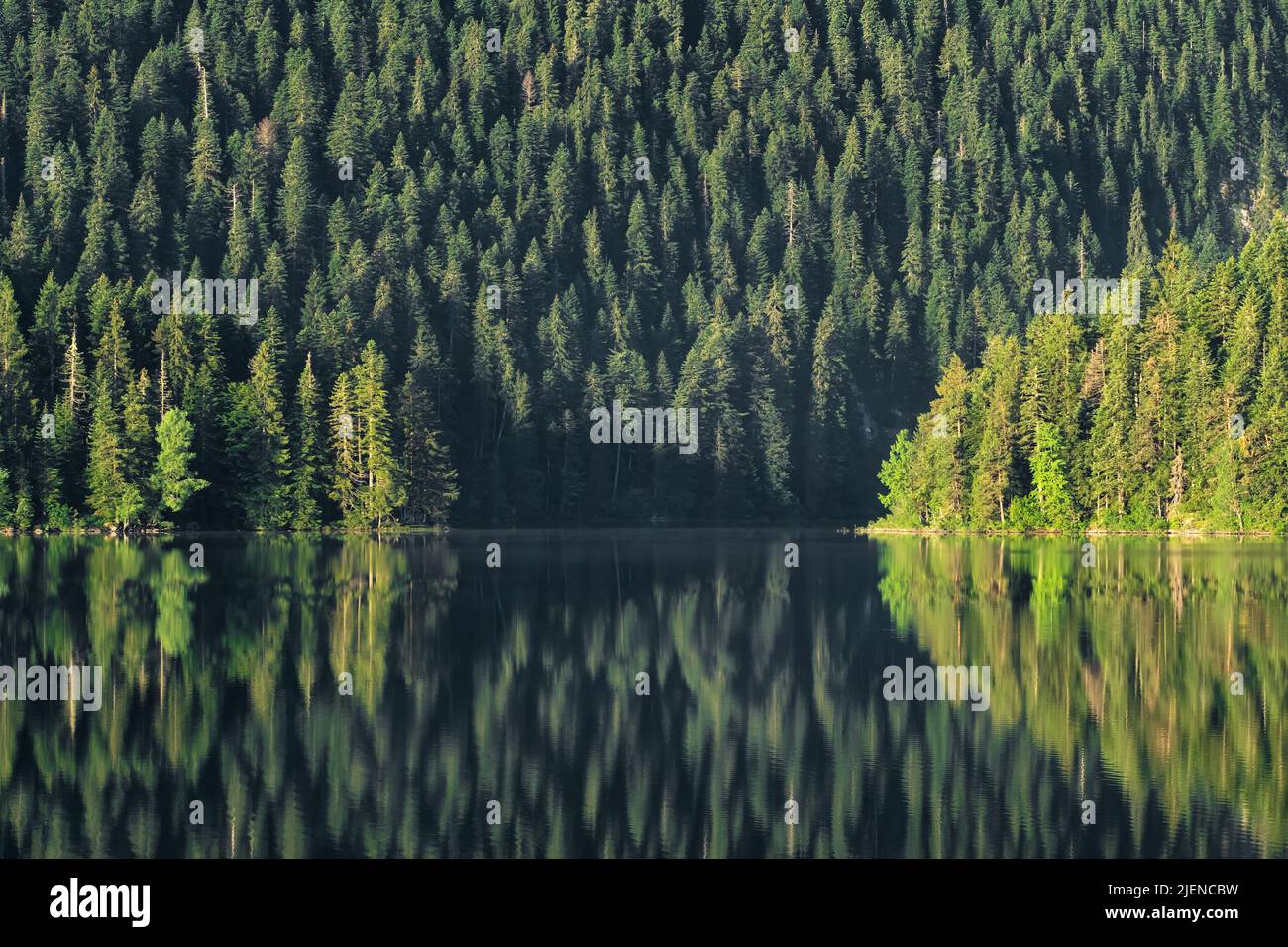 Paysage de lac noir au lever du soleil dans le parc national de Durmitor, Zabljak, Monténégro Banque D'Images