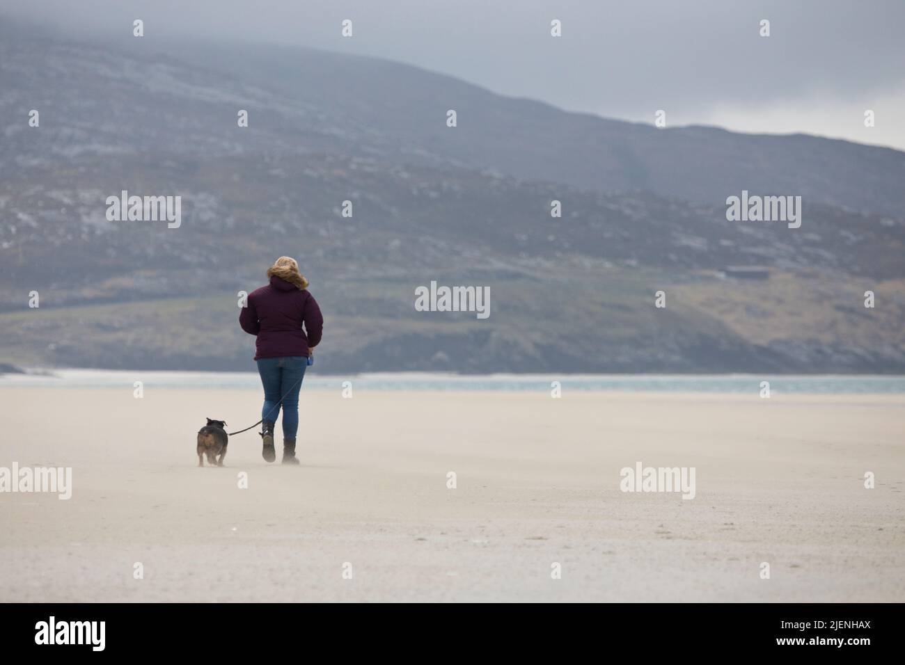 Femme emportant son chien pour une promenade à la plage de LUSKENTIRE sur l'île de Harris, Outer Hebrides, Écosse, Royaume-Uni Banque D'Images