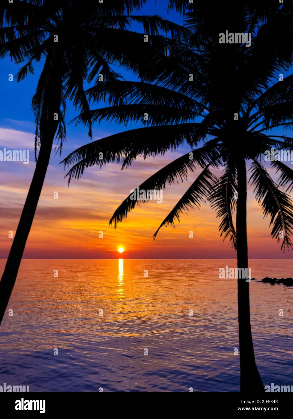 Silhouette de palmiers magnifique coucher de soleil sur la plage tropicale Banque D'Images